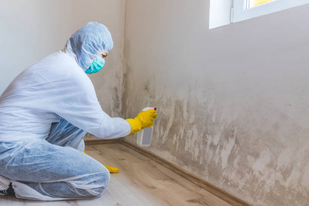 Licensed Commercial Mold Remediation service in Marblehead, MA - WQB Mold Removal