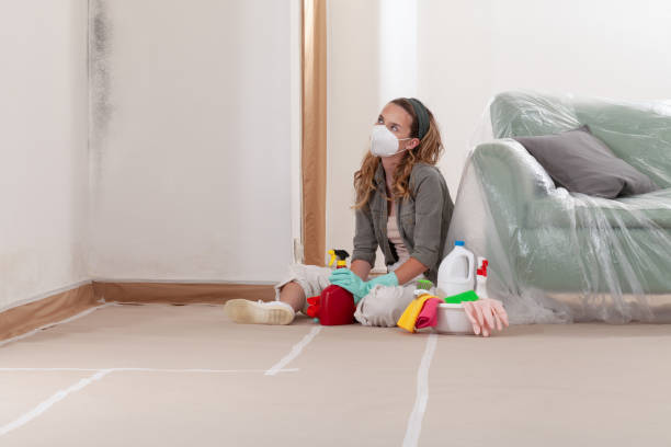 Reliable Commercial Mold Remediation contractor in Marblehead, MA by WQB Mold Removal